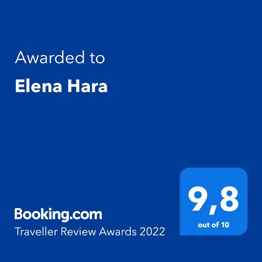 Elena Hara Apartment อลิกานาส ภายนอก รูปภาพ